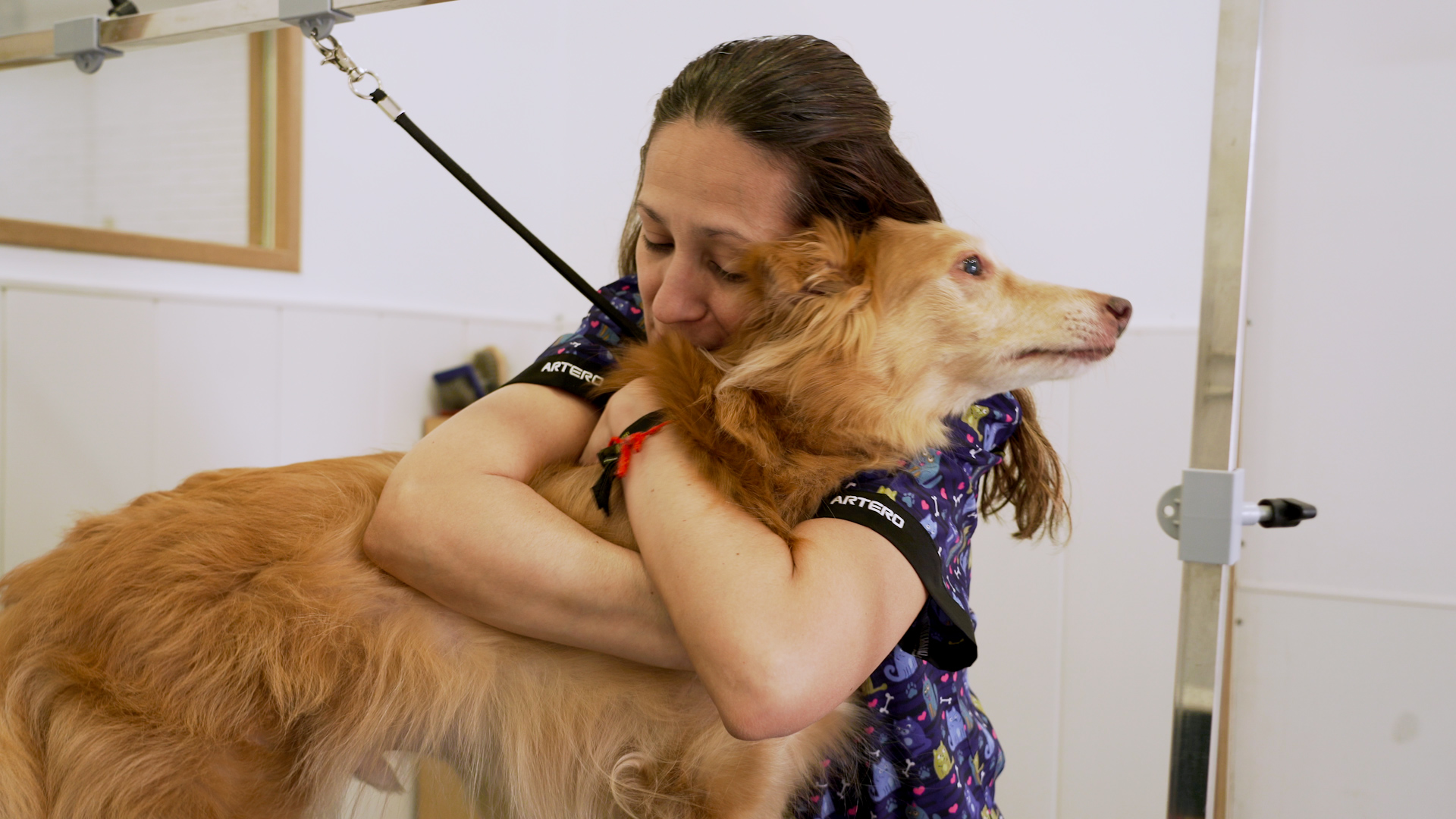 Peluquería canina en Arganzuela